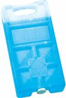 Campingaz 2 Kühlelemente Freez Pack M5