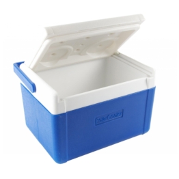 Hartschalen-Kühlbox Ragot L
